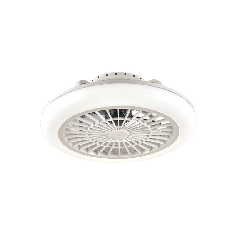 Plastic Fan Light