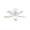 E27 Fan Light