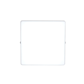 Surface rimless panel light