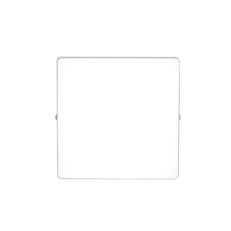 Surface rimless panel light