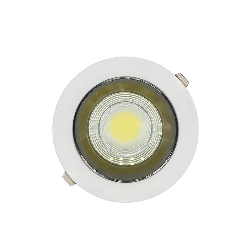 COB Down Light